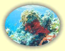 IMG_2007_05_27 18_31_31 * 2242 x 1682 * (628KB)